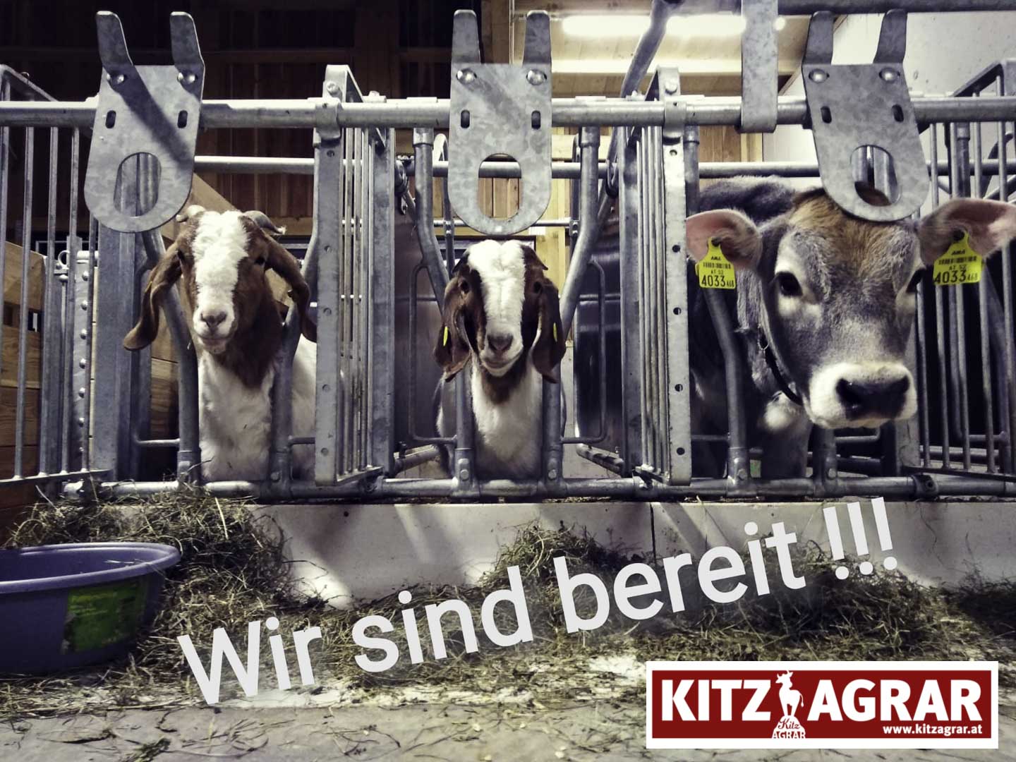 19_Feldtag_web-2.jpg